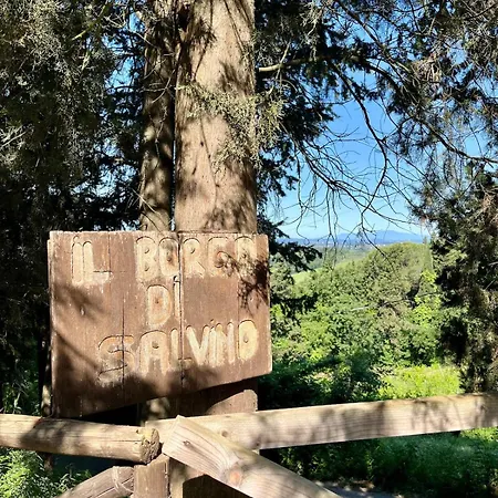 Il Borghetto - Casetta Rustica Con Piscina E Jacuzzi Nel Chianti 公寓 Turignano